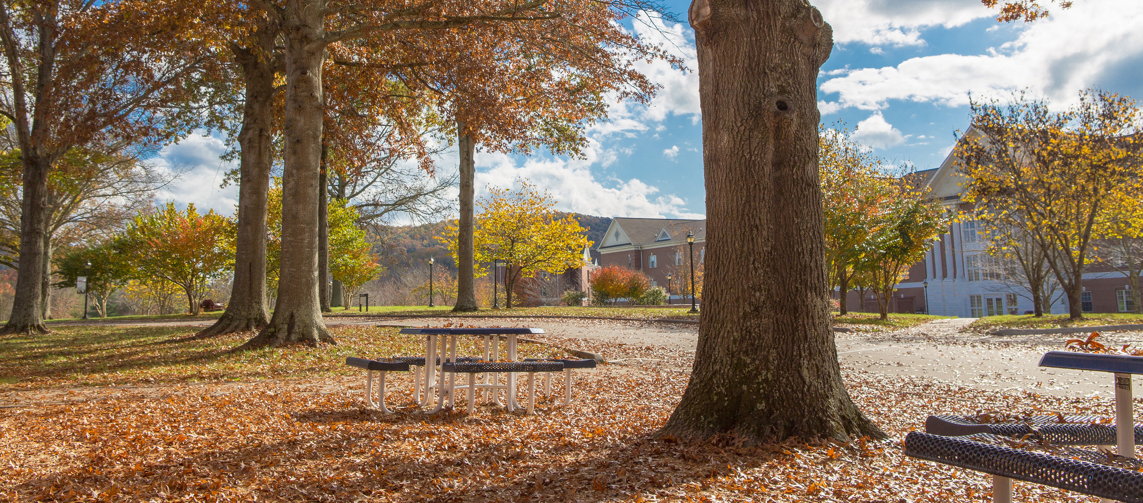 Fall on the beautiful Johnson University campus